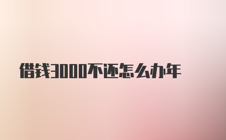 借钱3000不还怎么办年