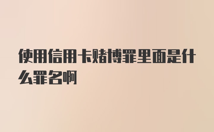 使用信用卡赌博罪里面是什么罪名啊