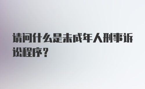 请问什么是未成年人刑事诉讼程序？