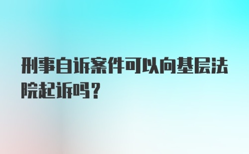 刑事自诉案件可以向基层法院起诉吗？