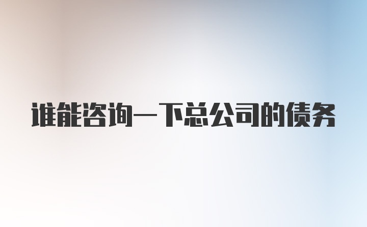 谁能咨询一下总公司的债务