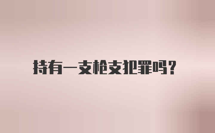 持有一支枪支犯罪吗？