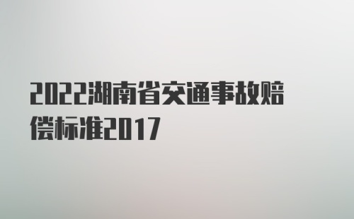 2022湖南省交通事故赔偿标准2017