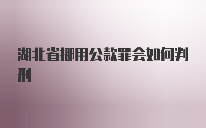 湖北省挪用公款罪会如何判刑