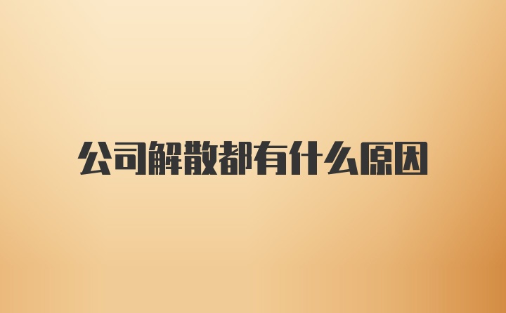 公司解散都有什么原因