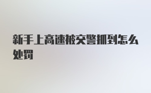 新手上高速被交警抓到怎么处罚