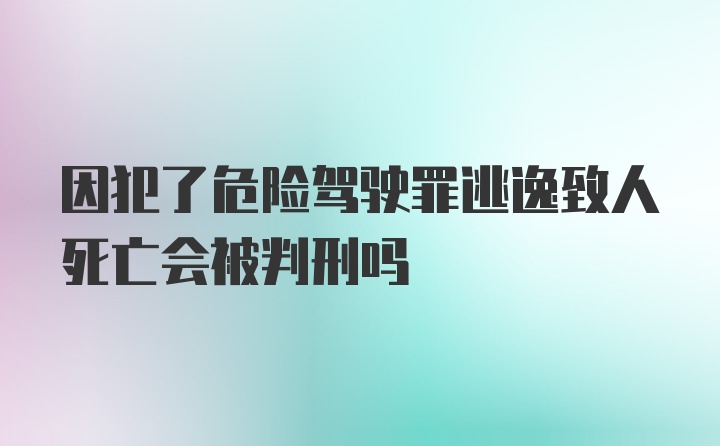 因犯了危险驾驶罪逃逸致人死亡会被判刑吗