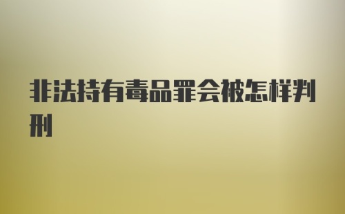 非法持有毒品罪会被怎样判刑