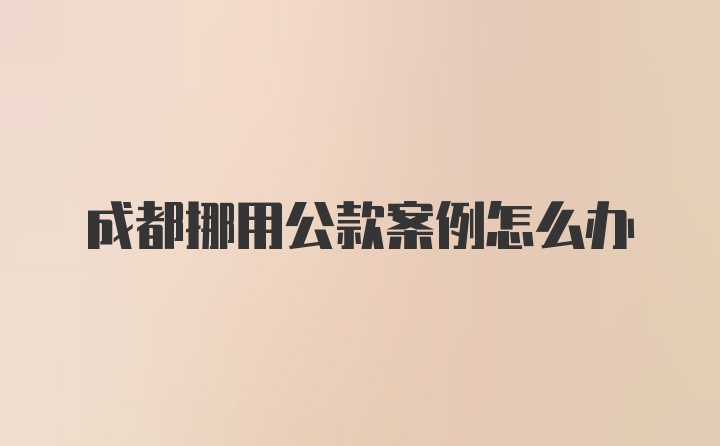 成都挪用公款案例怎么办