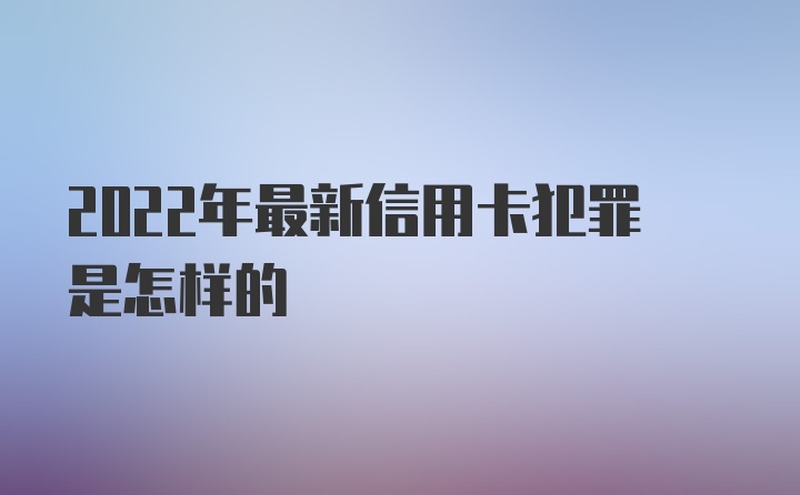 2022年最新信用卡犯罪是怎样的