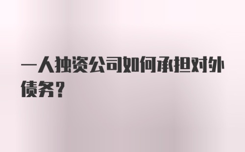 一人独资公司如何承担对外债务？