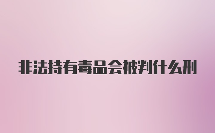 非法持有毒品会被判什么刑