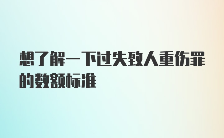 想了解一下过失致人重伤罪的数额标准