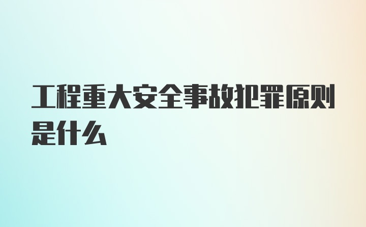 工程重大安全事故犯罪原则是什么