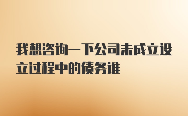 我想咨询一下公司未成立设立过程中的债务谁