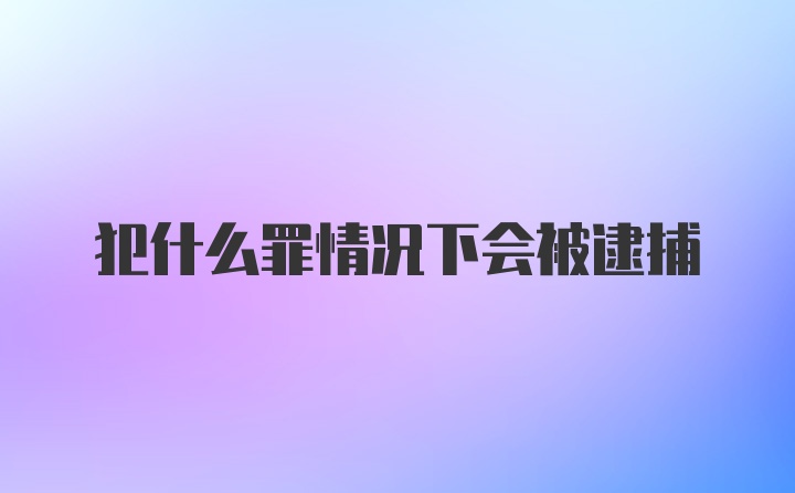 犯什么罪情况下会被逮捕