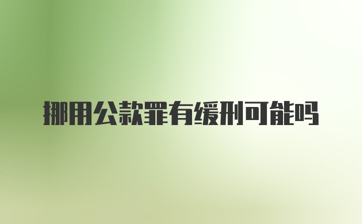 挪用公款罪有缓刑可能吗