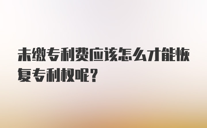 未缴专利费应该怎么才能恢复专利权呢？