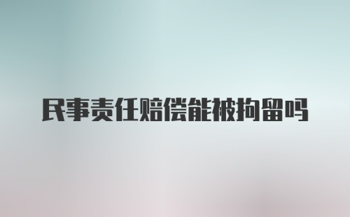 民事责任赔偿能被拘留吗