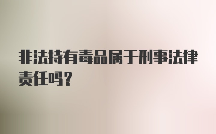 非法持有毒品属于刑事法律责任吗？