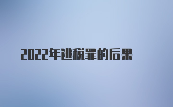 2022年逃税罪的后果