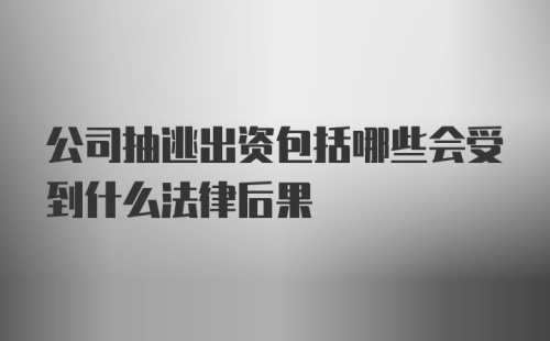 公司抽逃出资包括哪些会受到什么法律后果