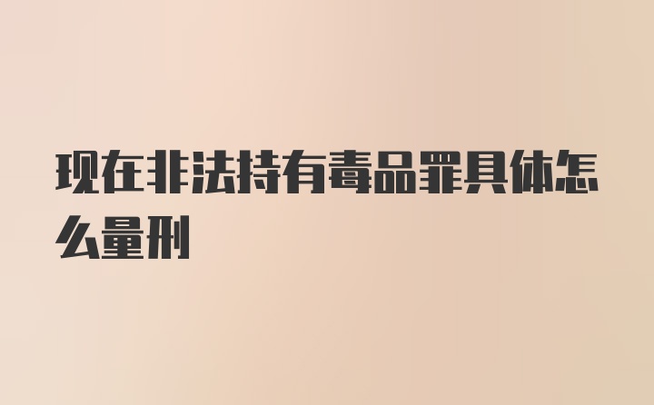 现在非法持有毒品罪具体怎么量刑