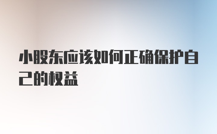 小股东应该如何正确保护自己的权益