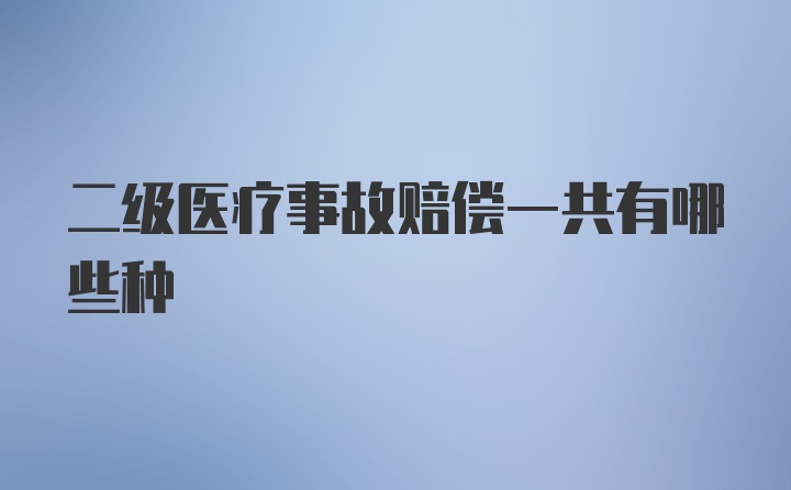 二级医疗事故赔偿一共有哪些种