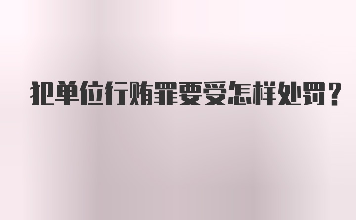 犯单位行贿罪要受怎样处罚？