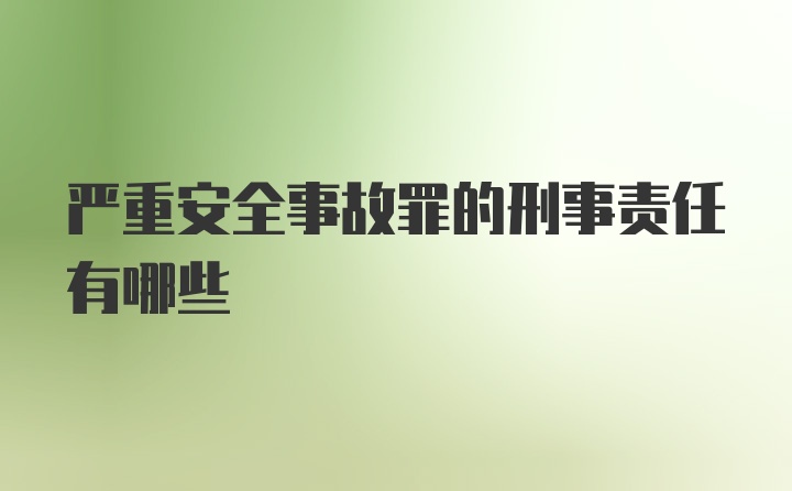 严重安全事故罪的刑事责任有哪些