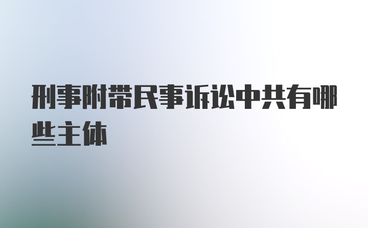 刑事附带民事诉讼中共有哪些主体