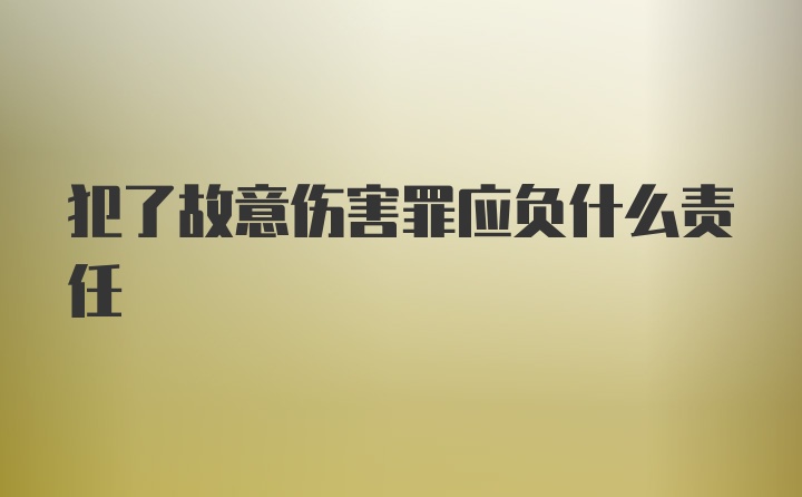 犯了故意伤害罪应负什么责任