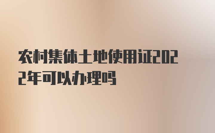 农村集体土地使用证2022年可以办理吗