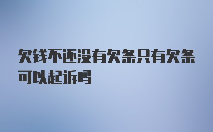 欠钱不还没有欠条只有欠条可以起诉吗