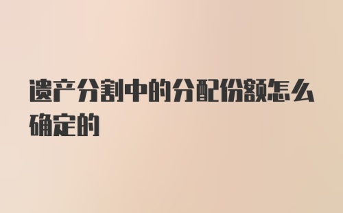 遗产分割中的分配份额怎么确定的