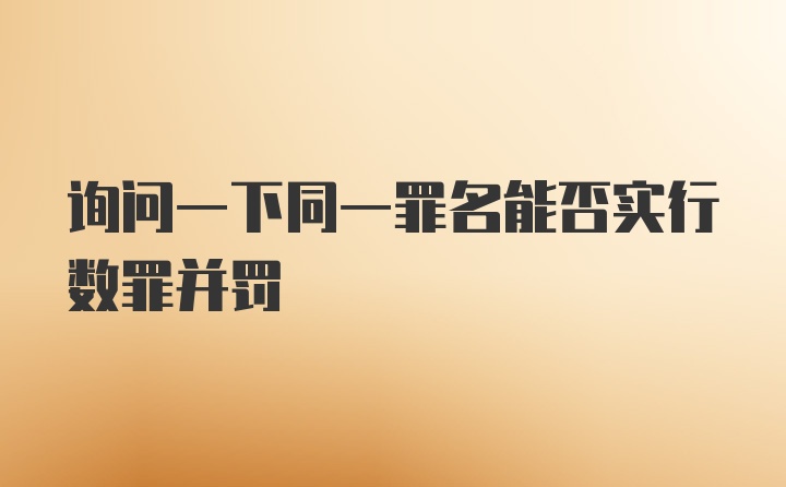 询问一下同一罪名能否实行数罪并罚