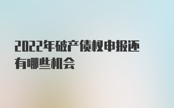 2022年破产债权申报还有哪些机会