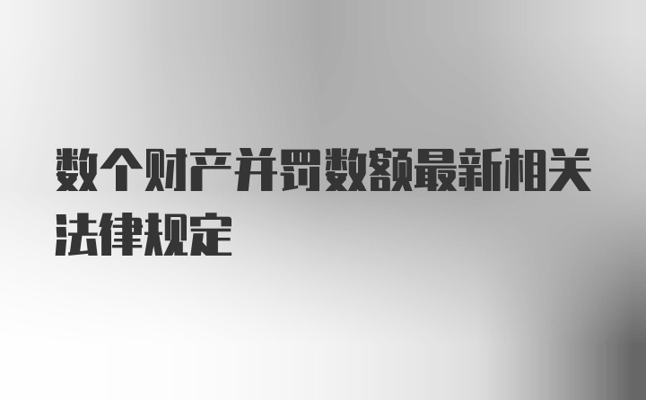 数个财产并罚数额最新相关法律规定