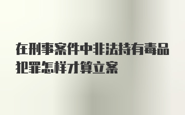 在刑事案件中非法持有毒品犯罪怎样才算立案