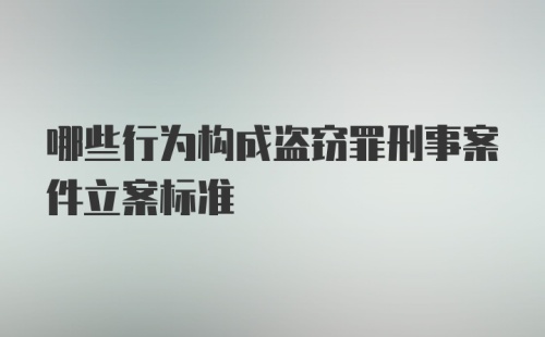 哪些行为构成盗窃罪刑事案件立案标准