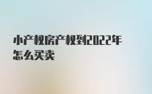 小产权房产权到2022年怎么买卖