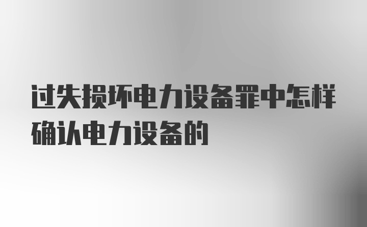 过失损坏电力设备罪中怎样确认电力设备的