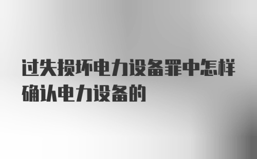 过失损坏电力设备罪中怎样确认电力设备的