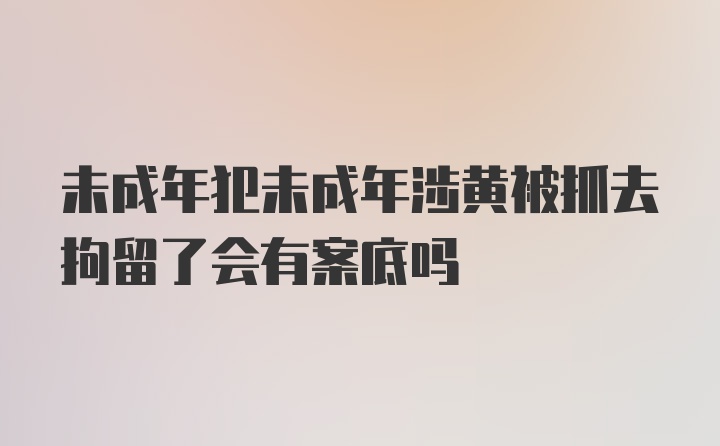 未成年犯未成年涉黄被抓去拘留了会有案底吗