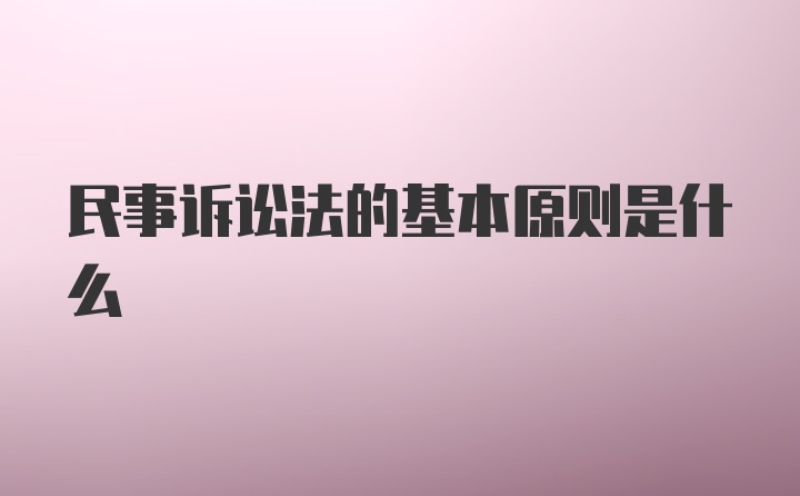 民事诉讼法的基本原则是什么