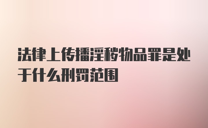 法律上传播淫秽物品罪是处于什么刑罚范围