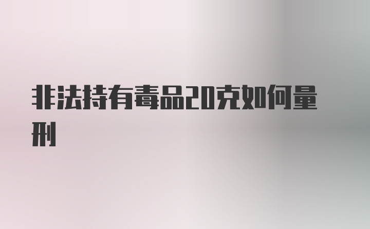 非法持有毒品20克如何量刑