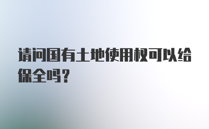 请问国有土地使用权可以给保全吗？