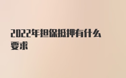 2022年担保抵押有什么要求